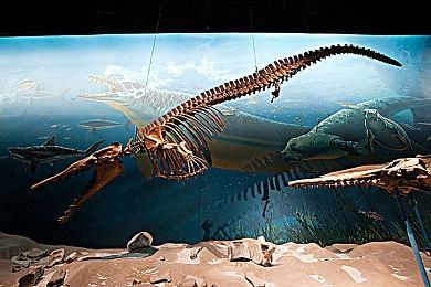 《小小诺娅：乐园继承者》第四弹重大更新上线 添加新可玩角色