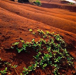 樱花大战登场 《超级机器人大战30》首款DLC下周发布